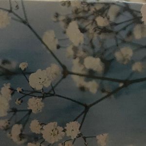 RESERVED FOR CASSIDY